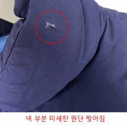 ◆스크래치◆CYCLOPE 패딩 자켓 블루 4038505 5396F 74B