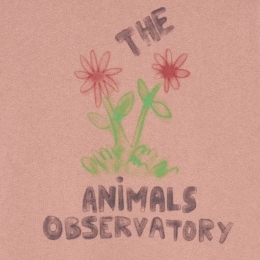 ◆키즈◆키즈 베어 플라워 맨투맨 더스티코랄 F25031 067DX