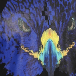 ◆12주년◆VICUNA 프린팅 티셔츠 블랙 CMAA018F160012211088